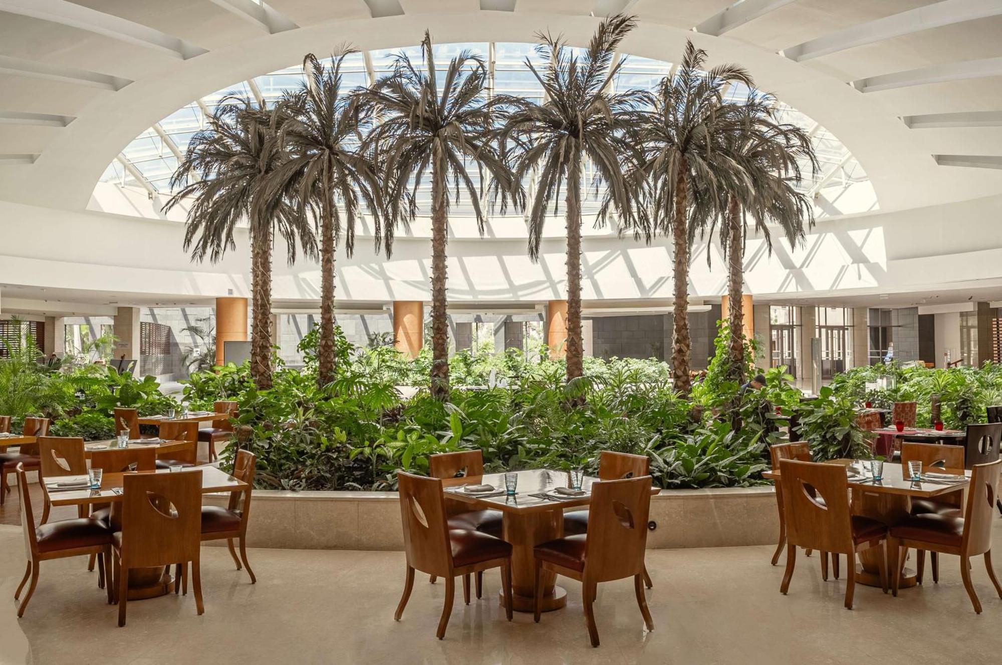 Hilton Cairo Heliopolis Hotel Eksteriør bilde The Palm Court